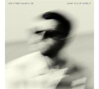 New Street Adventure - What Kind Of World?