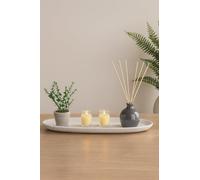 New StunningCedarwood & Musk Home Fragrance Display Set with Reed Diffuser, Scented Candles & Decorative Succulent on Elegant Tray Any Space Home Decor Gift-A76