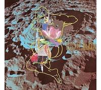 New Susumu Hirasawa-Virtual Rabbit-JAPAN CD 2014