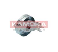 New Tensioner Pulley, V-ribbed belt for CITROËN PEUGEOT:RELAY Bus,RELAY Van