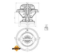 NRF 725062 Thermostat