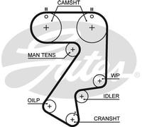 GATES 5404XS Timing Belt