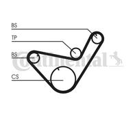 CONTITECH CT714K1 Timing belt kit