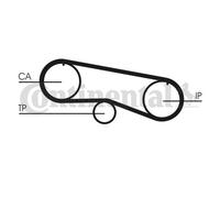 New Timing Belt Set for NISSAN:SABRE I,PRIMERA,SUNNY I,SUNNY ,ALMERA I