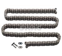 SWAG 99 11 0365 Timing Chain