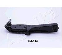 Track Control Arm for MITSUBISHI:IO I,PAJERO IO I,MONTERO IO I,PAJERO TR4 I