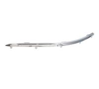 PRASCO VG7171248 Bumper moulding