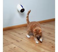NEW TRIXIE MOVING LIGHT CAT KITTEN LASER INTERACTIVE TOY GAME BATTERY POWERED