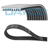 New V-Ribbed Belt 1833079