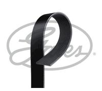 10 Rib Multi V Drive Belt 10PK1340HD Gates 20983634 21955032 7421190824 Quality