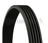 New V-Ribbed Belt 51968200332