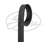 GATES 7DPK2884 Serpentine belt