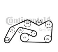 CONTITECH V-ribbed belt set 6PK2490K1 AUDI: A6 C6 Avant, A6 C6 Saloon, A4 B7 Avant