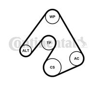 CONTITECH 5PK1207K1 V-Ribbed Belt Set
