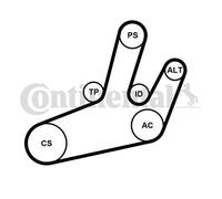 CONTITECH 6PK1780K1 V-Ribbed Belt Set