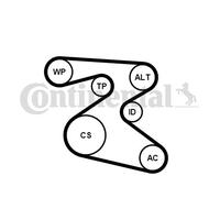 New V-Ribbed Belt Set for SEAT SKODA VW:POLO,RAPID,POLO V,CORDOBA,FABIA I