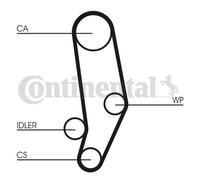 CONTITECH CT704WP1 Water pump and timing belt kit