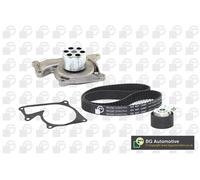 New Water Pump & Timing Belt Set for DACIA NISSAN RENAULT:CUBE,JUKE,NOTE,LODGY