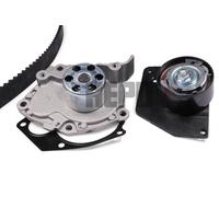 HEPU PK09660 Water Pump & Timing Belt Set for RENAULT,SUZUKI