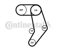 New Water Pump & Timing Belt Set for VW:EUROVAN IV Van,CARAVELLE IV Bus