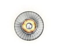 New Wave Optic Wall Lamp Smoke