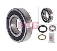 FAG 713 6231 00 Wheel bearing kit