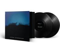 New Wilderness Gospel [VINYL]