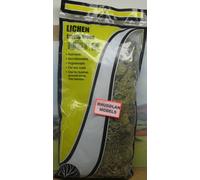 NEW WOODLAND SCENICS L161 LICHEN SPRING GREEN