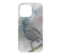 New World blackbirds watercolor bird portrait Case for iPhone 14 Pro Max