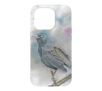 New World blackbirds watercolor bird portrait Case for iPhone 15 Pro