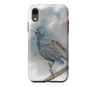 New World blackbirds watercolor bird portrait Case for iPhone XR