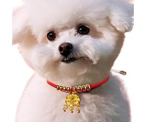 New Year Pet Collar, Happy New Year Pet Collar, Chinese Adjustable Dog Collar with Durability Lock - Red Lucky Pet Neck Decor, Cat Collar for New Year Parties, Versa
