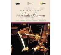 New Year's Gala: Berlin Philharmonic [DVD] [2000]