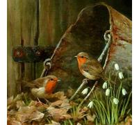 NEW-YIJUNSHUN 5D Diamond Painting Kits for Adults Kids Women Robin Bead Crystal Rhinestone Craft Easy Gem Jewel Dimond Picture Art Paint by Diamond Art Kit Full Drill Robin Bird