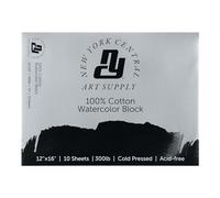 New York Central Watercolor Block, 300 lb Cold Press 12x16 inch, 10 Sheets, Archival Watercolor Paper for Artists, Students, Gelatin Sized, Durable Water Color Paper, Suitable for Wet and Dry Media