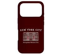 New York City, Metropolitan Museum of Art, USA, Hand drawing Case for iPhone 17 Pro