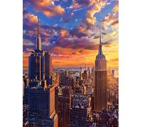 New York City Paint by Numbers for Adults, Painting by Number Kits On Canvas, Without Frame DIY Color Oil Painting Paints, Simple Paint by Numbers for Children, Home Wall Decor 12x16in/30x40cm M-844