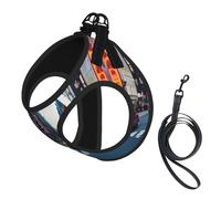 New York City print Dog Harness and Leash Set, Reflective Adjustable Puppy Vest for Small Medium Large Dogs, Cats