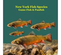 New York Game Fish and Panfish Species Kids Book: Great Book About the Different Types of Fish in New York