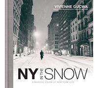New York In The Snow