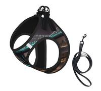 New York Manhattan Bridge Night Print Small Dog Harness with Leash Set, No Escape Easy Walk Puppy Harnesses for Training Walking