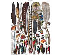 New York Puzzle Company FEATHERS - PLUMES