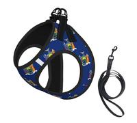 New York State Flag Print Dog Harness Small Sized And Leash Set, Step In Soft Light Puppy Vest Breathable Mesh Pet Harness
