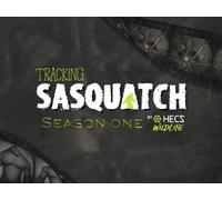 New York State of Mind