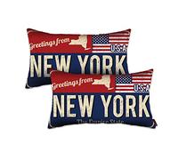 New York Throw Pillow Cover 12x20 Set of 2, New York Decor Gift Souvenir, American Flag License Plate Lumbar Pillowcase, Greetings from The Empire State(NY, USA) - Cushion Case Sham, No Inserts