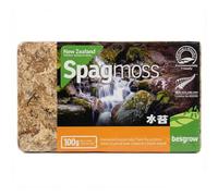 New Zealand Sphagnum Moss (100 grams)