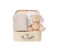 Newborn Baby Gift Set - Baby Hamper with Teddy Bear, 16 x Milestone Cards & Soft Fleece Blanket - Ready to Gift for Gender Reveals, New Arrivals & Baby Shower Gifts