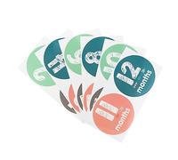 Newborn Baby Infant Milestone Stickers 12pcs Adhesive Paper | Photo Props for Scrapbooking, Beautiful Designs, Baby Boys Monthly Milestones