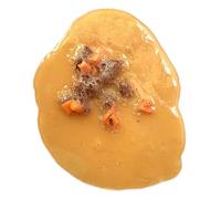 Newborn Carpet Vomit Realistic Soft Prank Toys For Halloween And Parties Button Dog Words (Gold, 10x10cm)