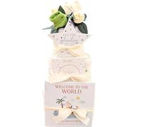 Newborn Gifts Unisex Nappy Cakes 11 Baby Essential Gift Items Nappies Keepsake Welcome to The World Book, Milestone Cards Hats Mitts Socks Vest Plaque New Parents Maternity Gift Baby Shower